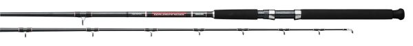 DAIWA Wilderness Rigger Rod