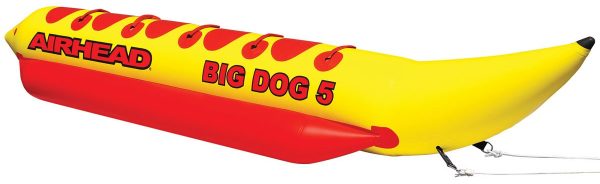 Big Dog 5