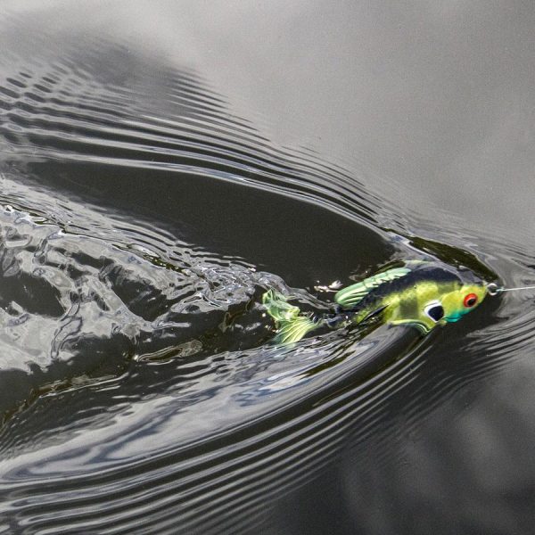 Lunkerhunt Topwater Combo - Image 8