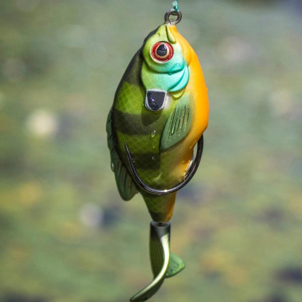 Lunkerhunt Topwater Combo - Image 7