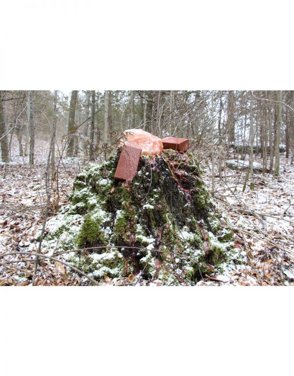 Fury Brick - Image 3