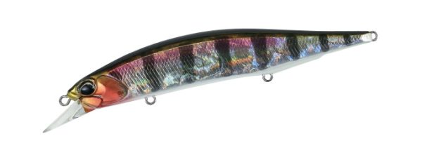 Realis Jerkbait 120SP - Prism Gill