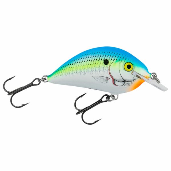 Bagley Pro Sunny B - Size 3 Inch 1/2 Oz Citrus Shad
