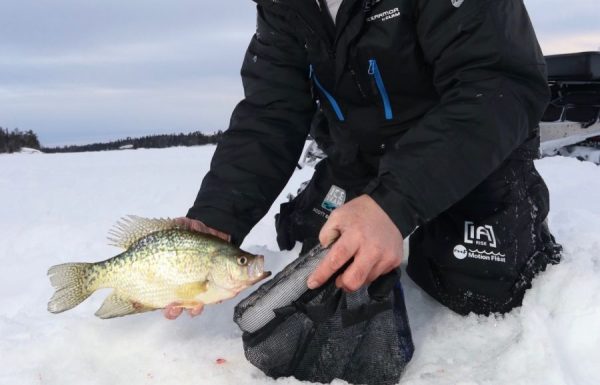 Fish Well Floating Livewell - 7 In - Image 2