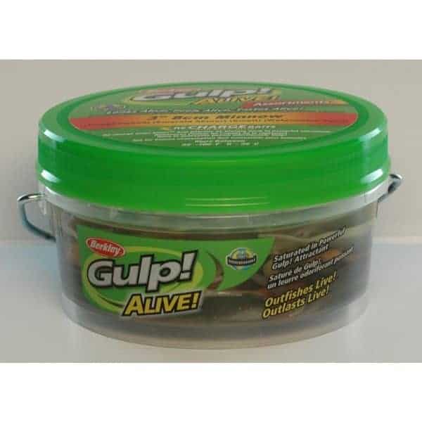 Alive!® Minnow - Image 2