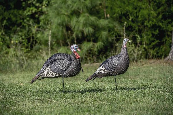 Strut-Lite Jake & Feeding Hen Combo Decoys - Image 3
