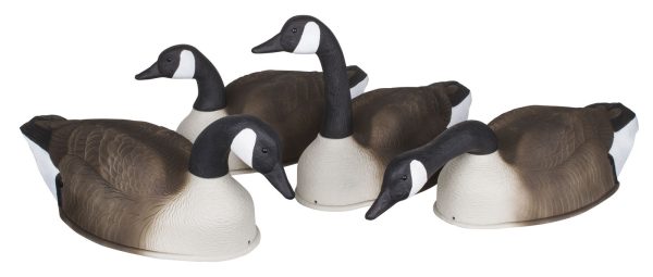 Storm Front™2 Canada Goose Shell - 4-Pack