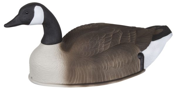 Storm Front™2 Canada Goose Shell - 4-Pack - Image 3