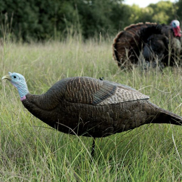 Gobbstopper Hen Turkey Decoy - Image 2