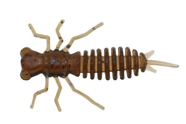 Anisoptera - Brown, 8 pack