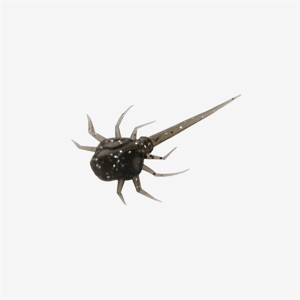Coconut Crab - Black Magic, 6 pack