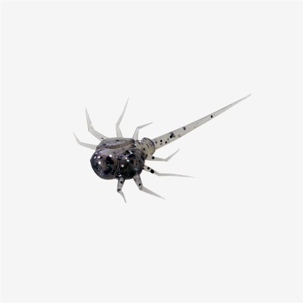 Coconut Crab - Potentially Purple , 6 pack