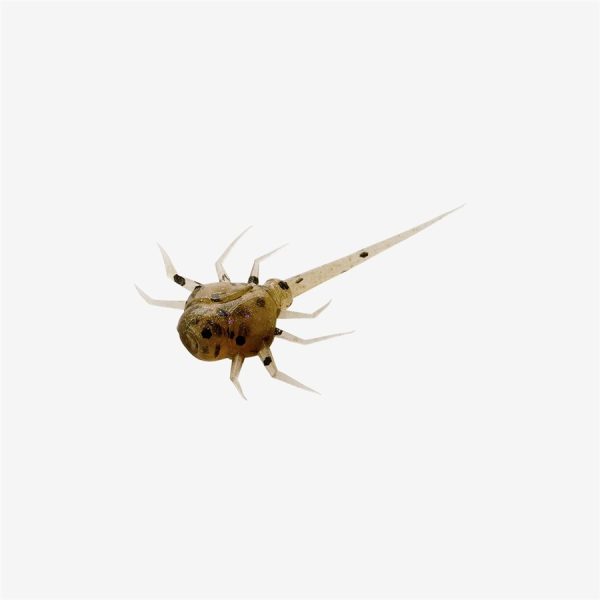 Coconut Crab - Whiskey Sour, 6 pack