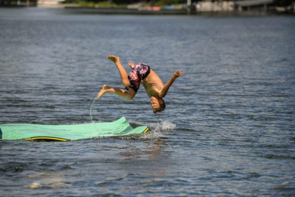 Bullfrog Lily Pad - 30' - Image 5