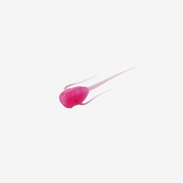 Paralyzer - Bubble Gum, 6 pack