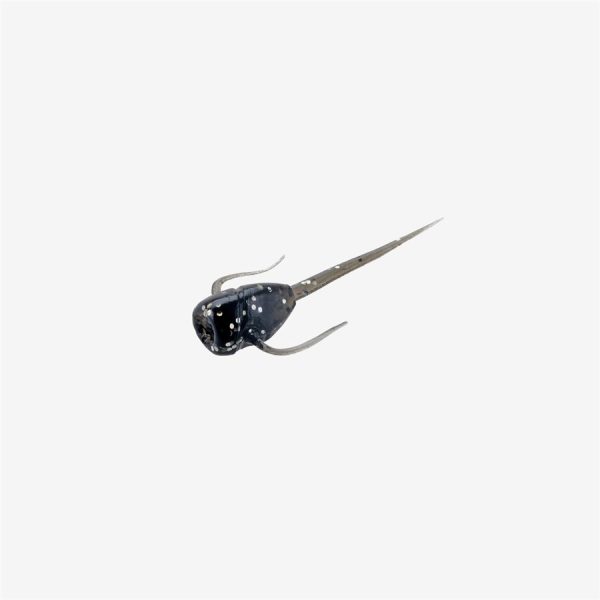 Paralyzer - Black Magic, 6 pack