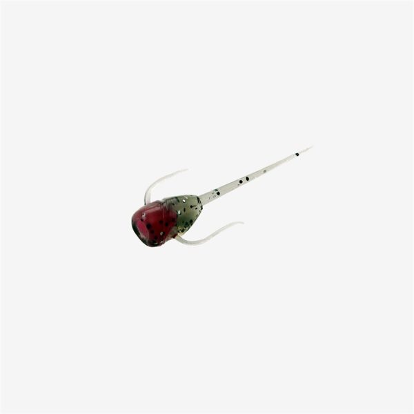 Paralyzer - Cherry Bomb, 6 pack
