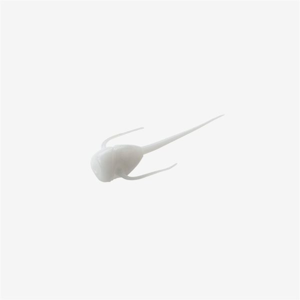 Paralyzer - White No. 1, 6 pack