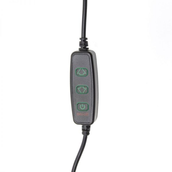 Light Stick - Small - Image 2