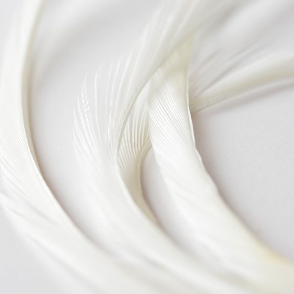 Goose Biots - White - Image 2