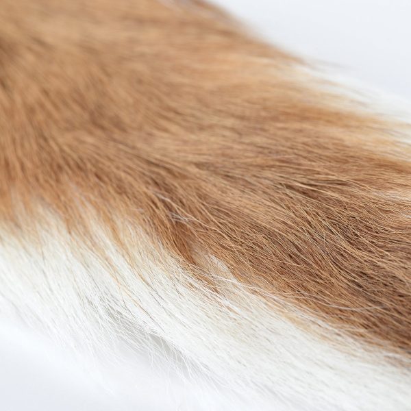 Buck Tail - Natural White - Image 2