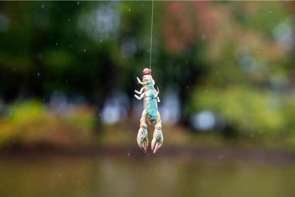 PowerBait® The Champ Minnow - Image 2