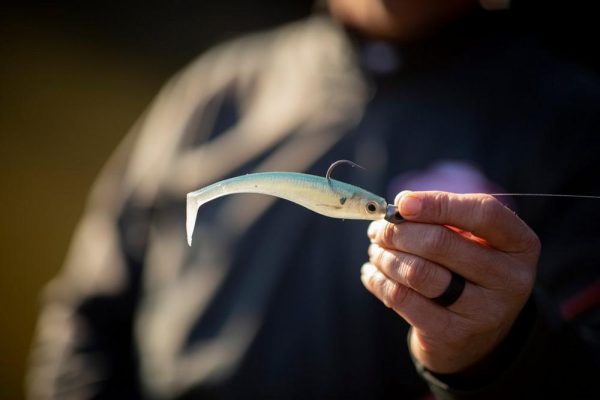 PowerBait® Hollow Belly - Image 2