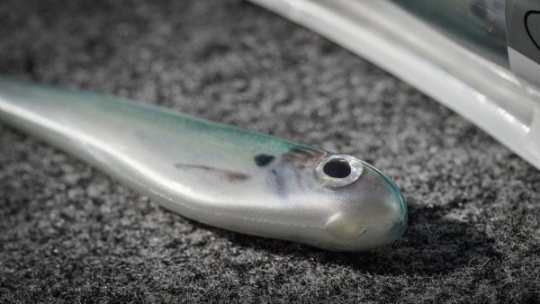 PowerBait® Hollow Belly - Image 3