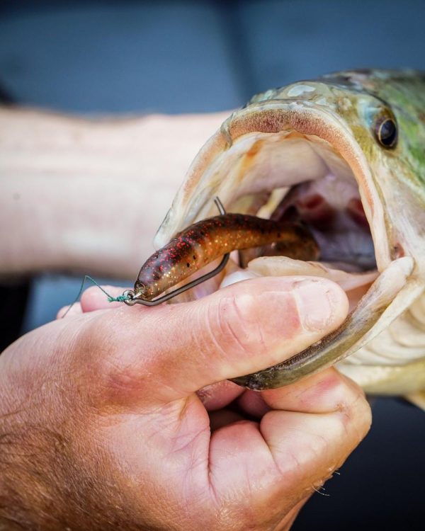 PowerBait® Grass Pig - Image 4
