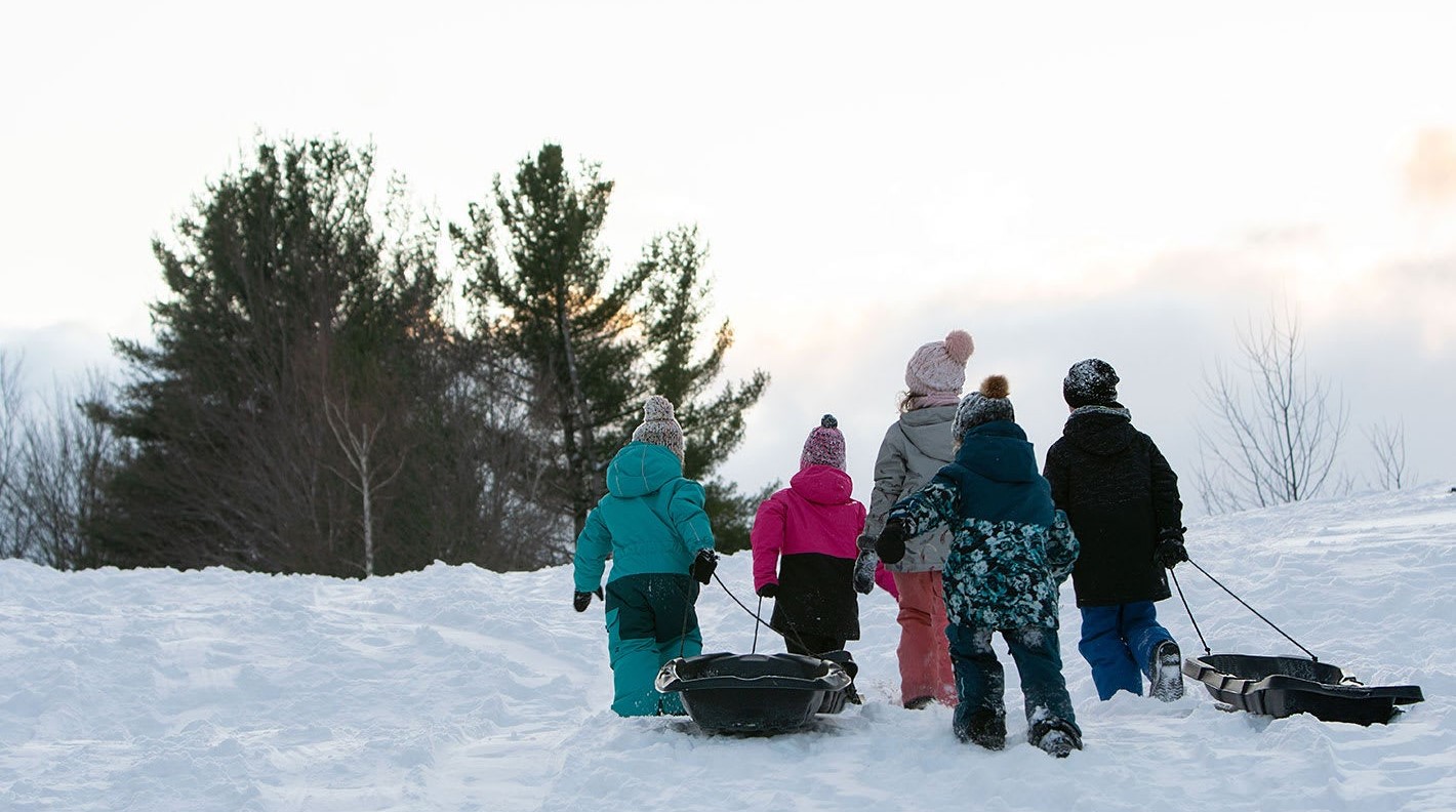 Nomad 40 Sled - Image 3