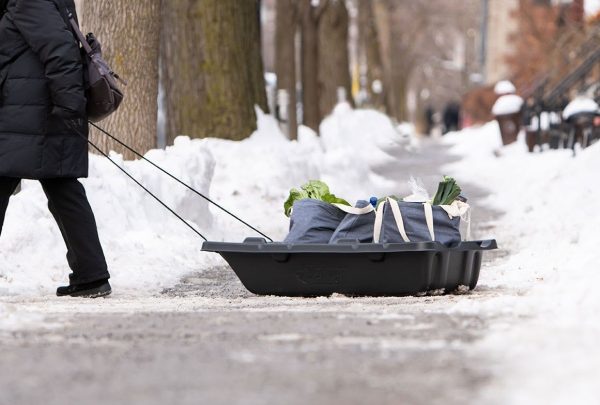 Trek 45 Sled - Image 3