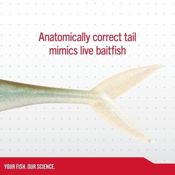 PowerBait® The Champ Minnow - Image 4