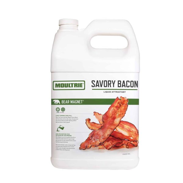 Bear Magnet - Savory Bacon