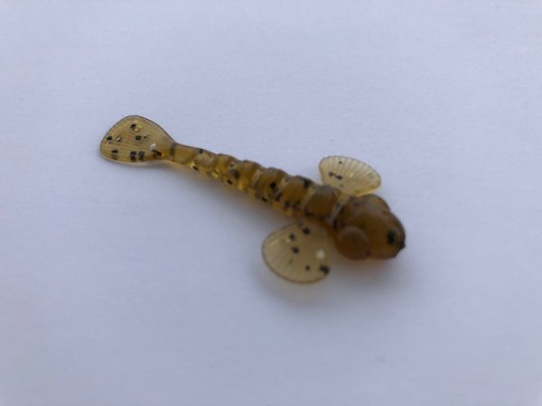 Goby Micro - Pumpkin, 2in