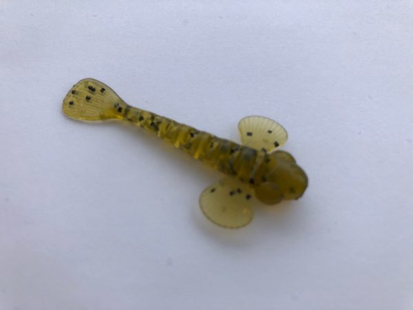 Goby Micro - Watermelon, 2in