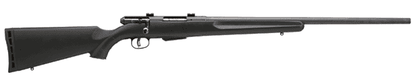 25 Walking Varminter - 223 REM