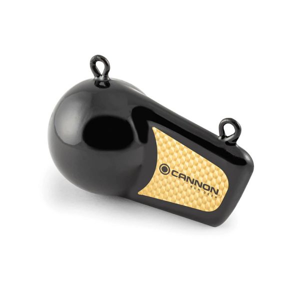 Flash Weight - 10lb