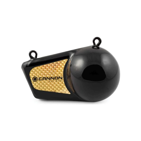 Flash Weight - 10lb - Image 2