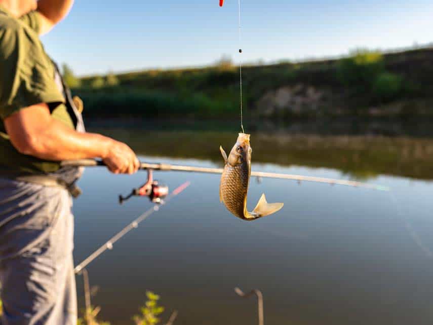 Lures