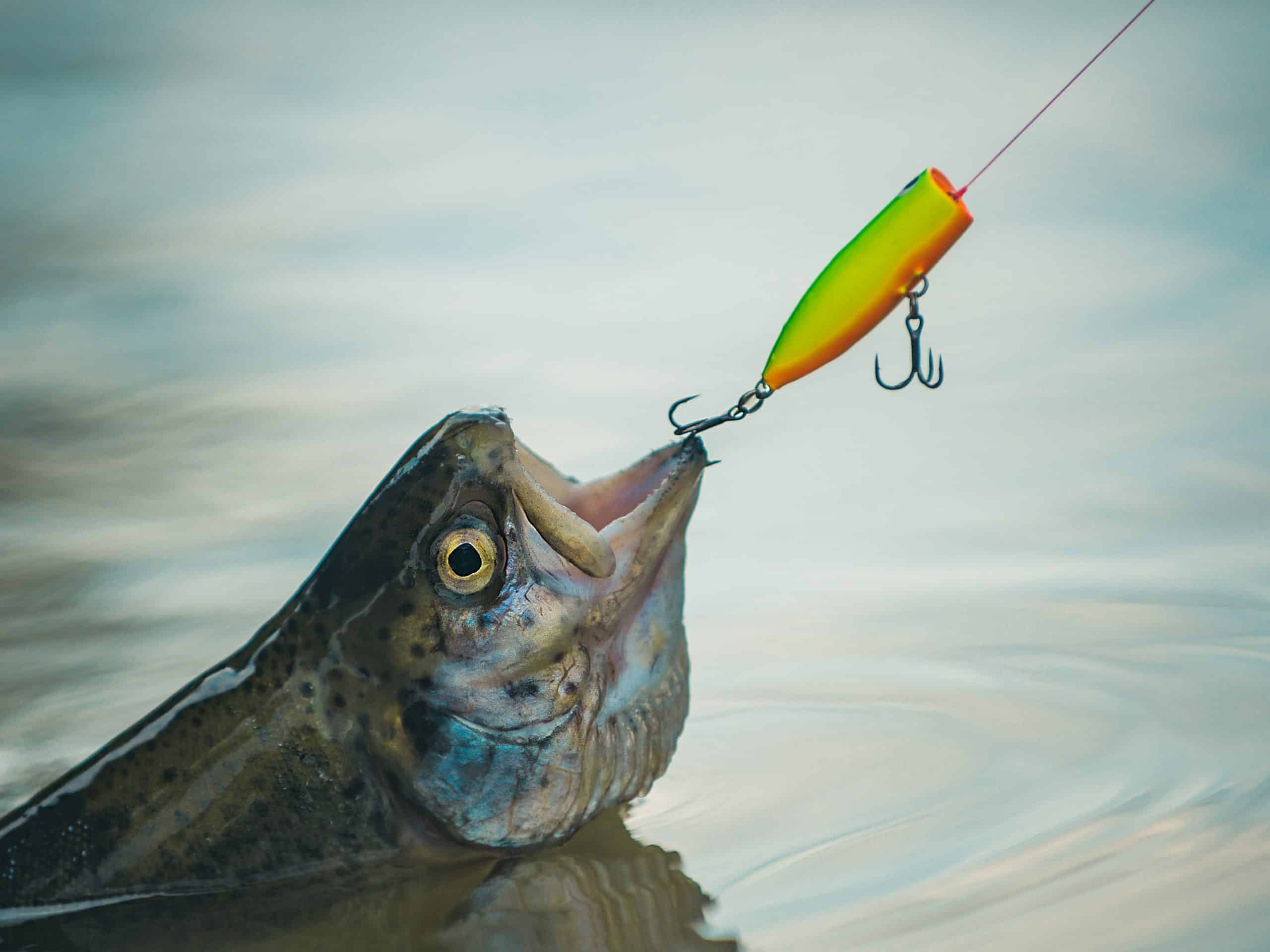 Terminal Tackle