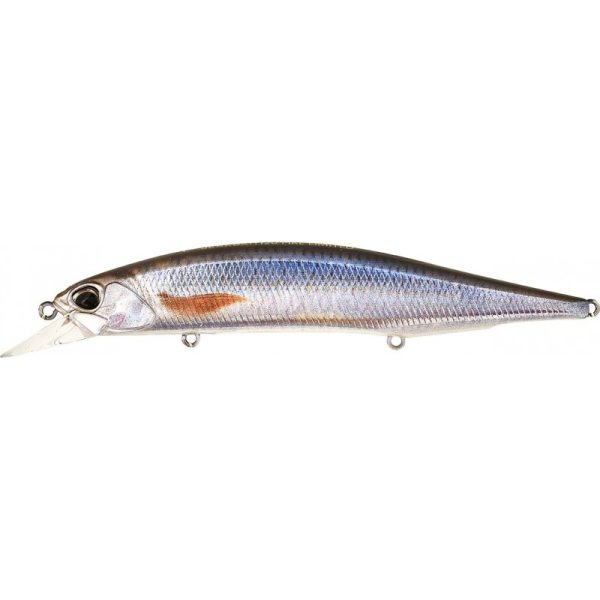 Jerkbait 120SP Pike Limited - Roach ND