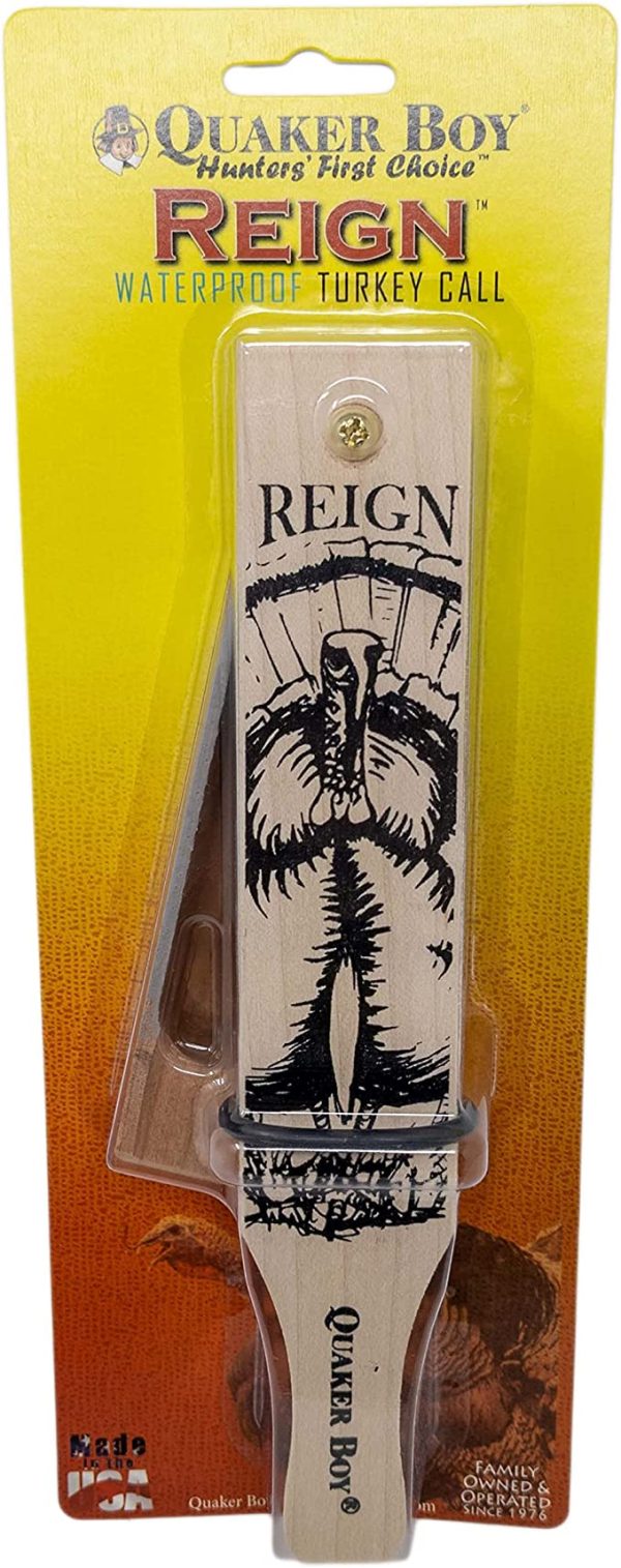 Reign - Image 2
