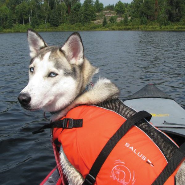 Skippy Dog Vest - Image 3