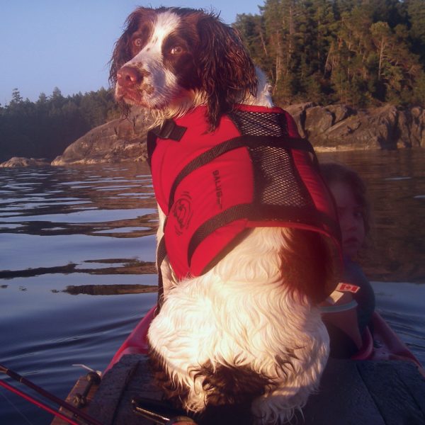 Skippy Dog Vest - Image 5