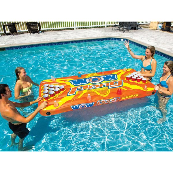 Pong Game Table Action Shot of people in a pool