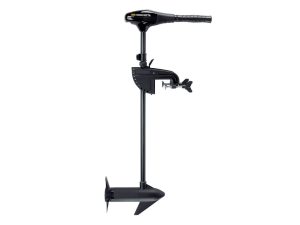 Transom Motors