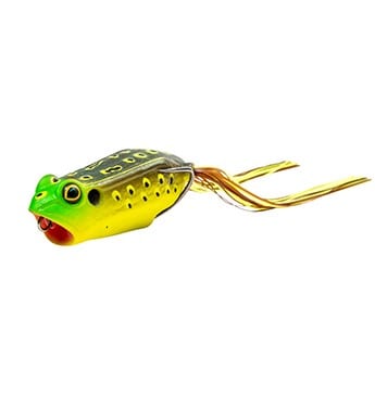 Leap FrogZ™ Popping Frog Old School Frog