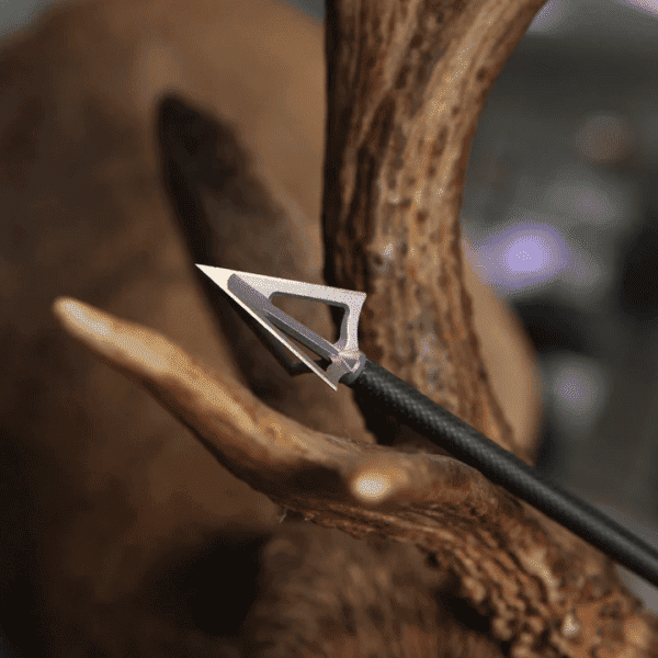MONTEC Standard Broadhead Action Shot