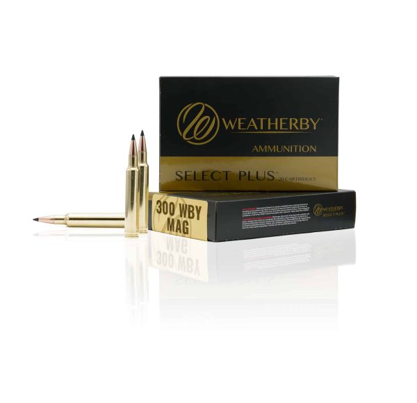 300 Weatherby Magnum - 180 Grain Hornady Interlock