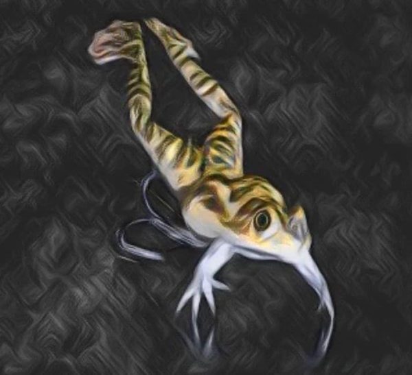 Vintage Frog Swimbait